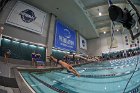 Swimming & Diving vs RWU  Swimming & Diving vs Roger Williams University. - Photo by Keith Nordstrom : Wheaton, Swimming